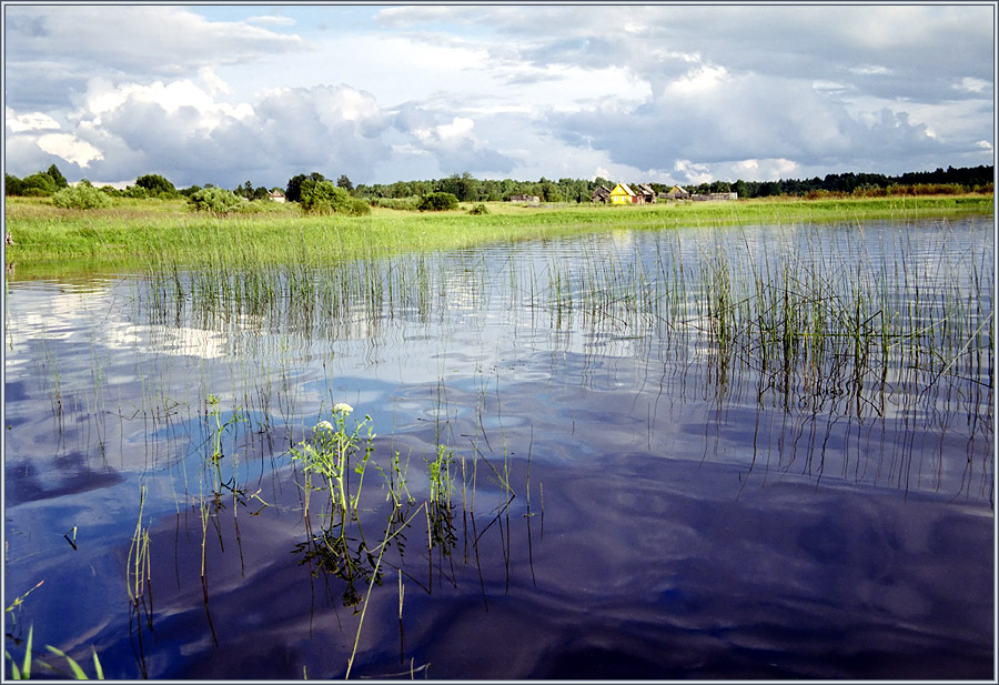 Озеро Вселуг в Тверской области - место отдыха для рыболовов и природолюбов